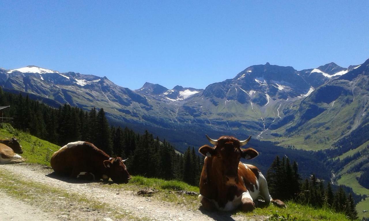 Fruehstuecks- Pension Sonnblickhof Inklusive Sommercard Rauris Exteriér fotografie