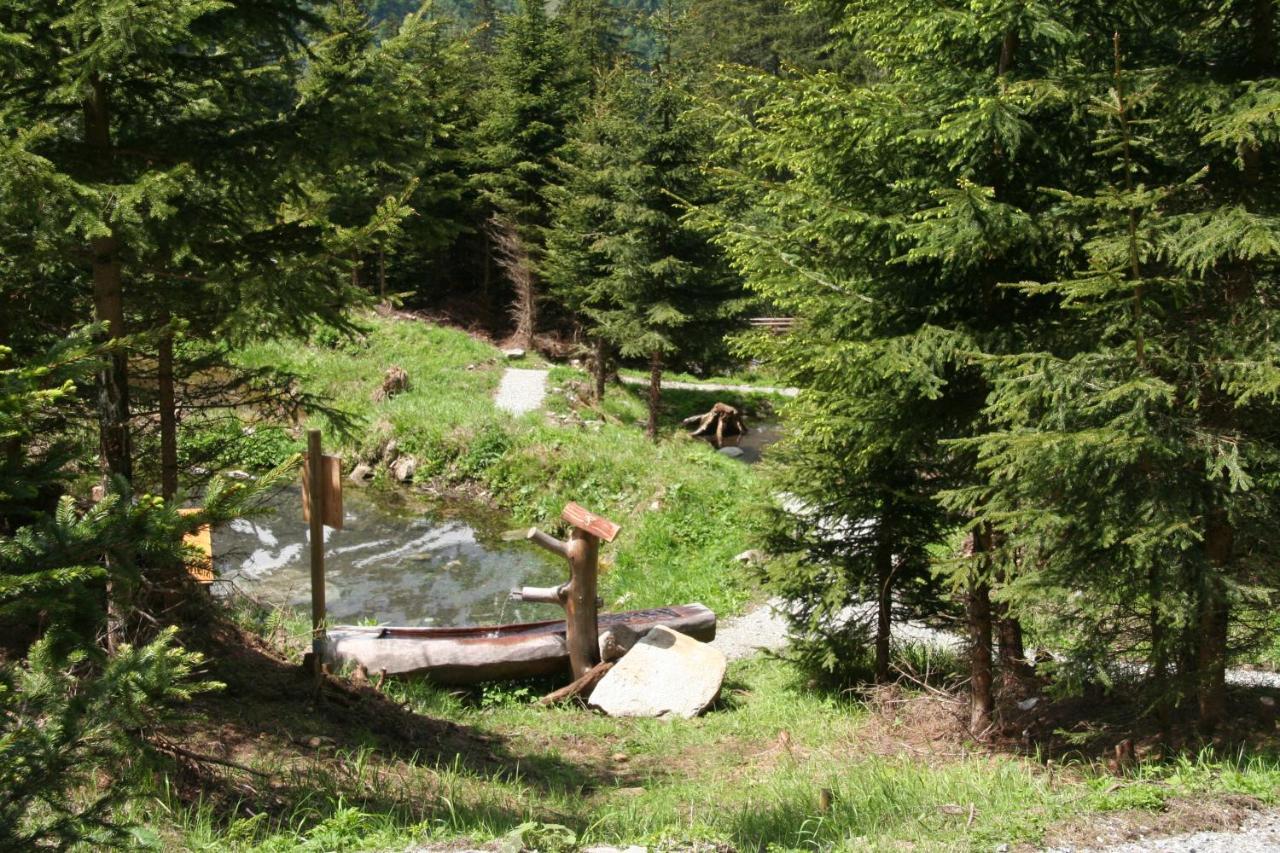 Fruehstuecks- Pension Sonnblickhof Inklusive Sommercard Rauris Exteriér fotografie
